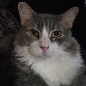 Meet your Posher, Cartha